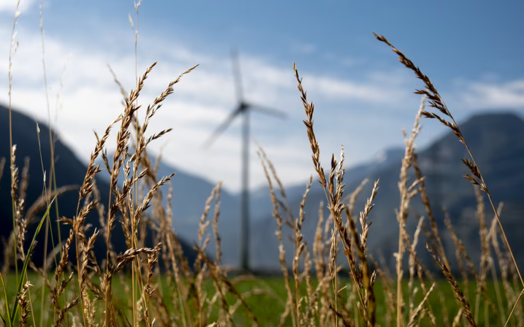 « Heidi.news traque la transition énergétique près de chez vous » – 19 juin 2023