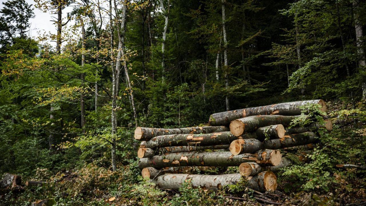 RTS : Un village vaudois mise sur la forêt pour réduire sa dépendance aux énergies fossiles – 21 avril 2026